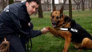 Legea „pensionării” animalelor | Animalele care au slujit statul vor beneficia de asistenţă medicală şi cazare pe viaţă. Directorul Clubului Câinilor Utilitari: Erau casaţi ca dulapurile