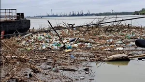 Tone de deşeuri s-au adunat pe malul Dunării. Circulaţia bacurilor Galaţi-Tulcea este afectată