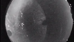 Explozie spectaculoasă a unui meteorit deasupra statului Alabama - VIDEO