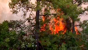 Stare de urgenţă în statul North Carolina, din cauza incendiilor de vegetaţie