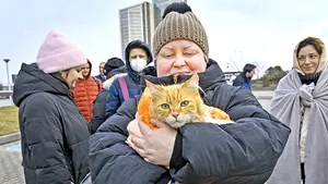 Câţi ucraineni au intrat joi în România