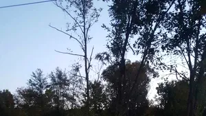 Suceava: Doi tineri au ajuns la spital, după ce au intrat cu maşina într-un cap de pod