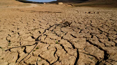 MEDIU Seceta lovește puternic nordul Italiei. Culturile agricole sunt în pericol, iar autoritățile au declarat stare de urgență