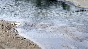 OMV Petrom, amendată cu 40.000 de lei pentru poluare în judeţul Dâmboviţa