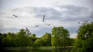 După valul de frig, vremea îşi revine. Finele lunii mai vine cu temperaturi normale