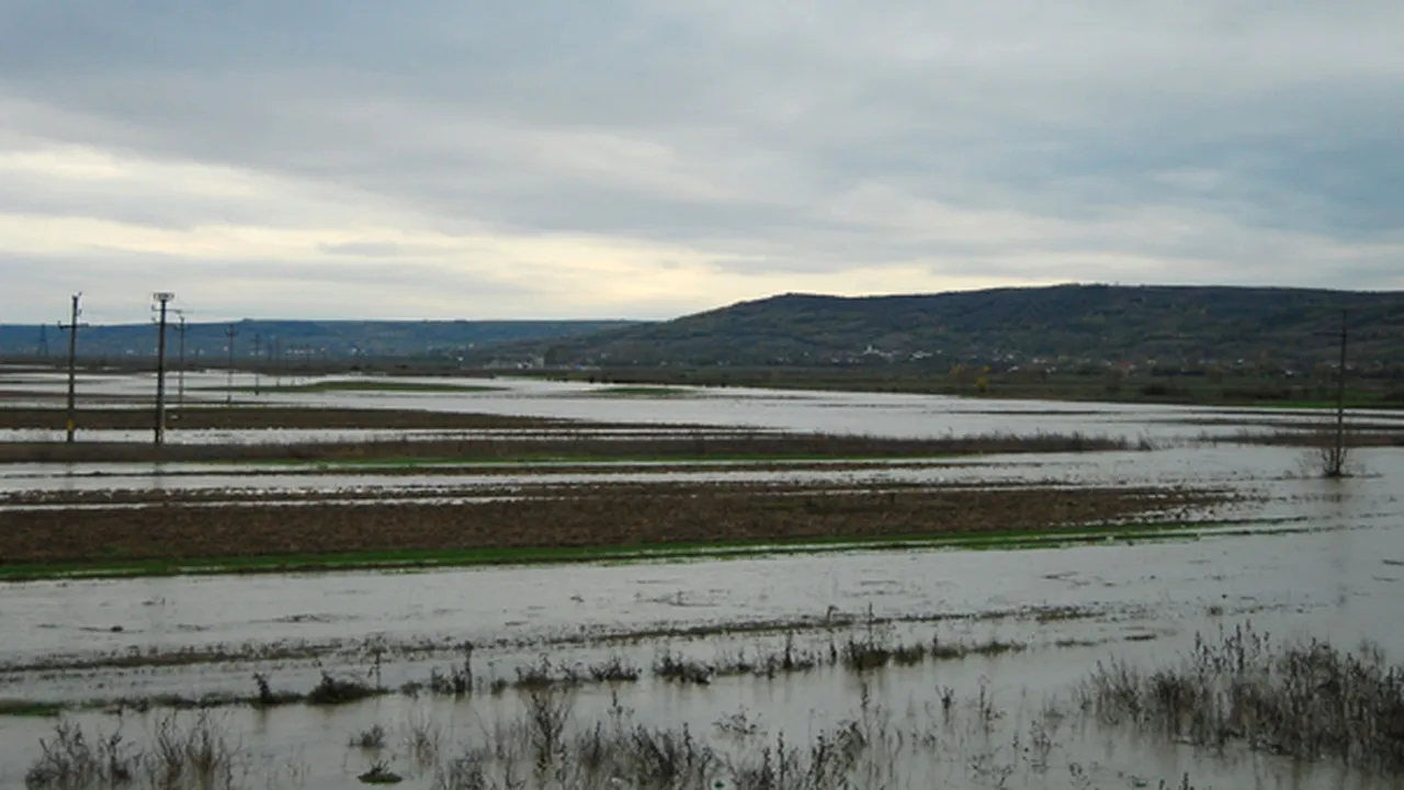 Pericol de inundaţii: Cod portocaliu în Timiş şi Caraş-Severin, cod galben în alte nouă judeţe
