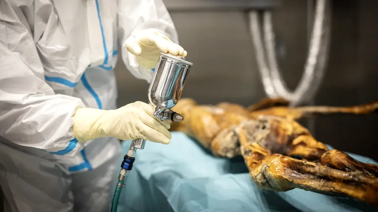 Ötzi, omul ghețurilor, continuă să uimească cercetătorii: ADN-ul său dezvăluie un virus asociat cu cancerul, vechi de mii de ani