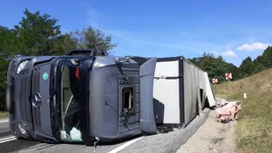 FOTO Un camion încărcat cu 100 de porci vii s-a răsturnat în Cluj
