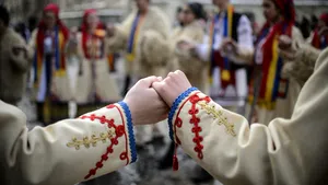 Guvernul a aprobat plata către OCDE pentru un studiu privind comunităţile româneşti din străinătate