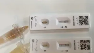 VIDEO Inventivi, dar fără chef de şcoală. Metoda folosită de elevi pentru a scăpa de ore, cu teste COVID falsificate