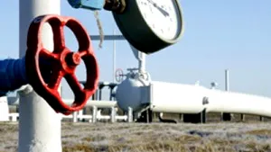 Romania’s Gas Consumption Totally Covered This Winter - Econ Min