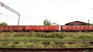 Nouă bărbaţi au furat 77.000 kg de cereale şi cărbuni din trenuri, în Portul Constanţa
