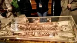 Turismul religios a devenit o afacere de sute de miliarde. Orașele se transformă pentru pelerini