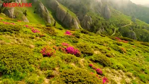 Peisaje care îţi taie răsuflarea, în inima României. Drumeţii de neratat în luna bujorilor roz