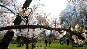 VREMEA DE PAŞTE: Prognoza meteo pentru sâmbătă şi duminică, în ţară, la Bucureşti şi la munte