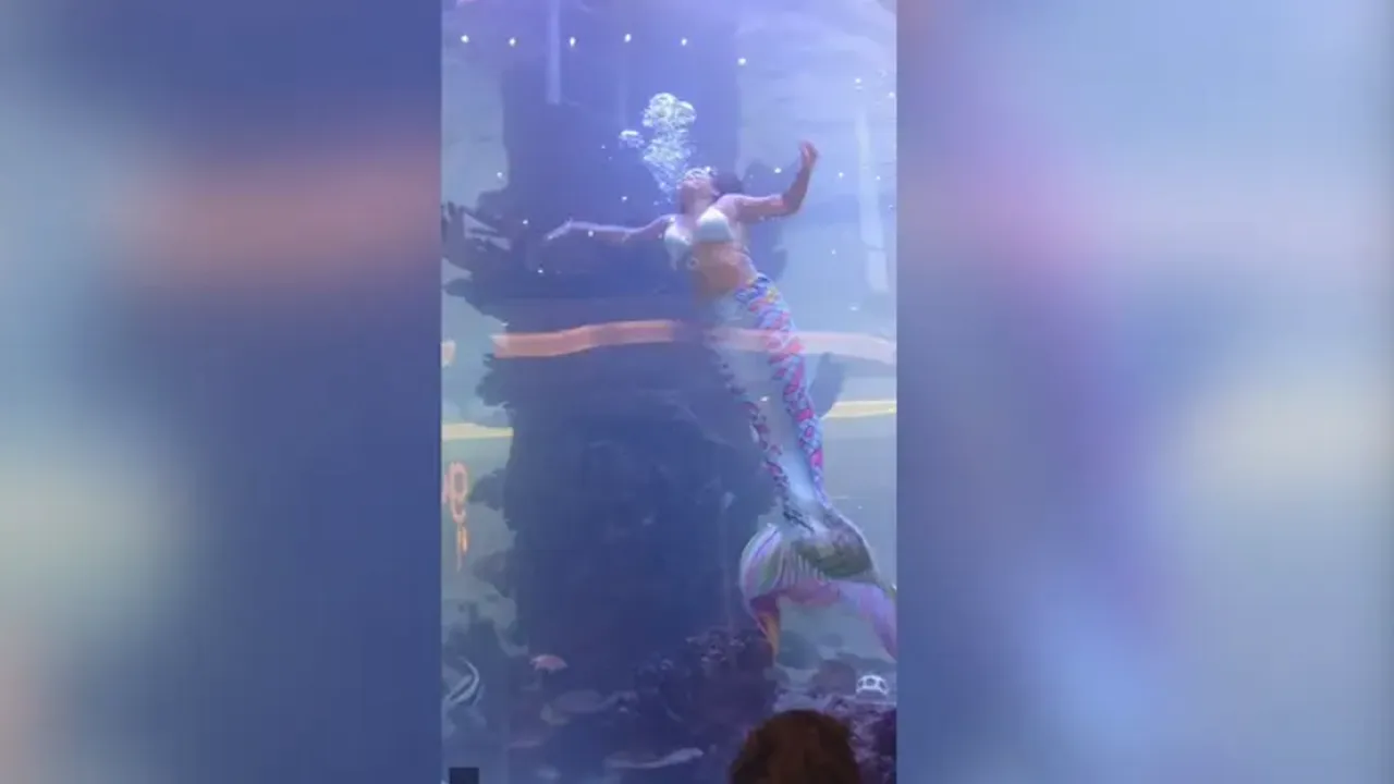 VIDEO Momente de groază. O femeie într-un costum de sirenă a rămas blocată pe fundul unui acvariu după ce coada a rămas agăţată de un recif artificial 