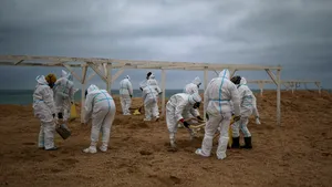 Deversarea de petrol din strâmtoarea Kerci perturbă sezonul turistic la Marea Neagră