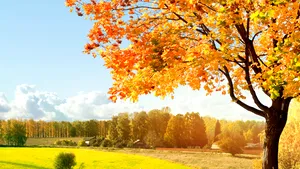 Cum va fi VREMEA în următoarele două săptămâni. PROGNOZA METEO până pe 1 noiembrie, pentru fiecare regiune a ţării – FOTO