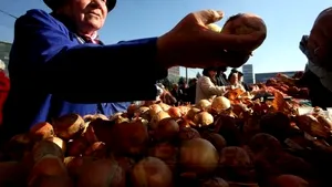 Vezi aici ce zic ţăranii care vin în Obor să vândă în primul mall al roşiilor şi gogoşarilor