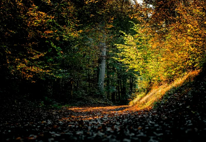 METEO August se încheie cu caniculă și furtuni. Ce anunță ANM pentru ultima săptămână a lunii