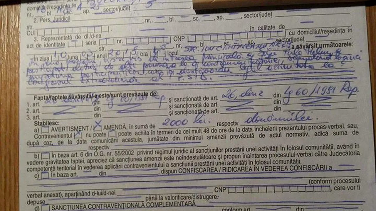 Carmen Dan, despre surdo-mutul AMENDAT pentru lozinci anti-PSD: E o eroare de redactare a procesului verbal