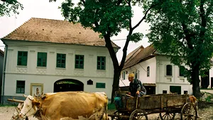 Romanian Traditional Houses To Be Included Among Tourist Receiving Structures - Senate