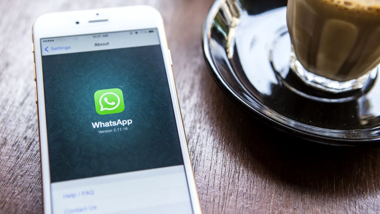 WhatsApp va lansa o nouă aplicaţie. Facebook vrea să câştige bani de pe urma celor peste 1 miliard de utiizatori