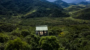Cele mai mari naţiuni cu păduri tropicale formează o alianţă pentru salvarea junglei