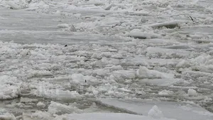 Un câine rămas pe o bucată de gheaţă în albia râului Ialomiţa, salvat de pompieri