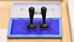 Biroul Electoral al Municipiului București: Votarea la alegerile parțiale se închide la ora 21:00, fără posibilitatea prelungirii