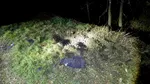 O dronă Geran a explodat în Republica Moldova. Poliția a găsit fragmente pe o rază de 120 de metri
