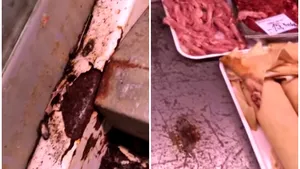 Gândaci morţi şi rugină în vitrinele frigorifice dintr-o piaţă din Alexandria. „Gândacii păreau mai proaspeţi”. VIDEO