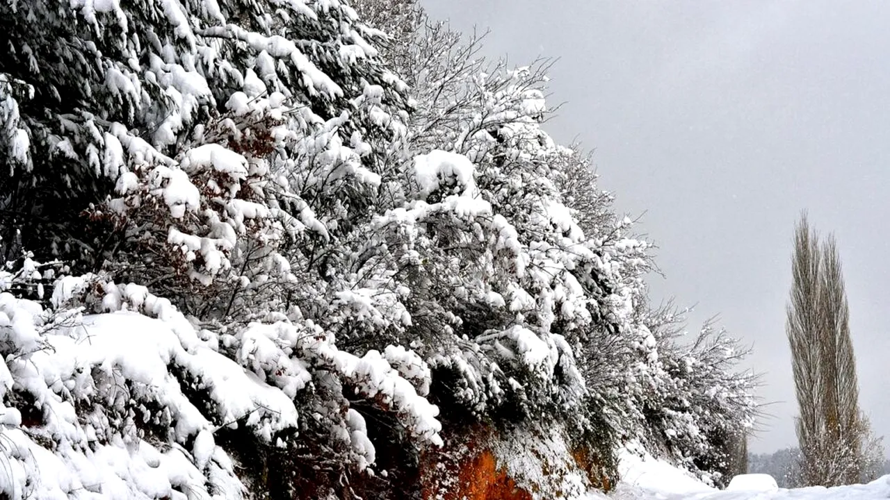 Prognoza ANM: Răcire accentuată a vremii în București, cu lapoviță, ninsoare și vânt puternic