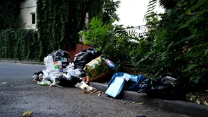 Probleme cu gunoiul şi în Sectorul 2. Primar: „Avem locuri în care mojicia şi nesimţirea transformă oraşul în groapă de gunoi”