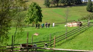 ŞTIRILE OREI 12.00 | 14 august 2019