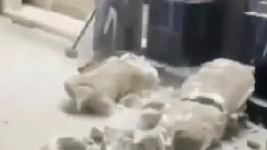 Muzeu din Irak, devastat de militanţii Statului Islamic: Zeci de statui au fost distruse cu barosul - VIDEO