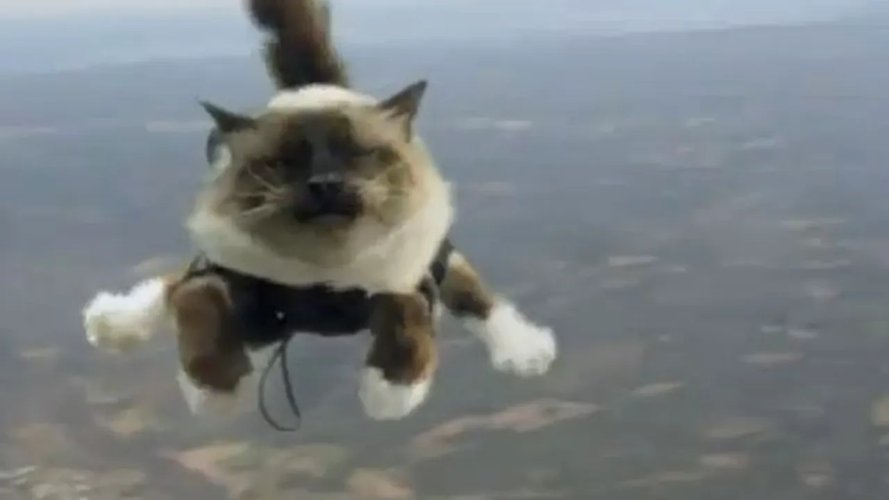 VIDEOCLIP AMUZANT: Pisici sărind cu PARAŞUTA din avion, într-o reclamă
