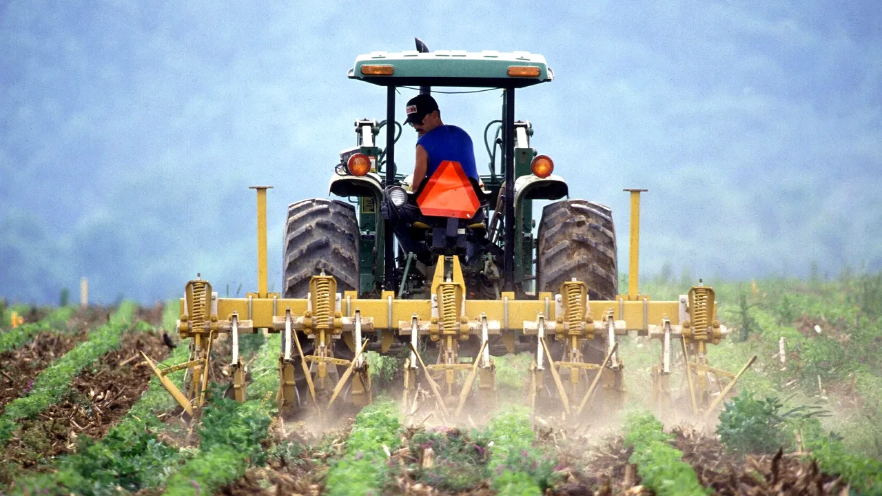 Eurostat: România, printre statele UE cu cele mai mici suprafaţe de teren alocate agriculturii