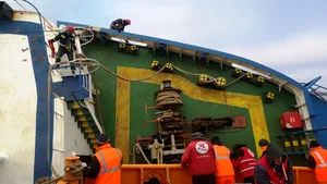 Cazul miilor de oi scufundate în Portul Midia: Câte animale au fost salvate din cele peste 14.000 | FOTO