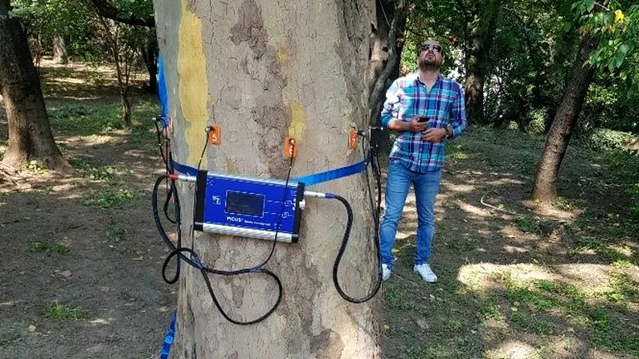 Primăria Capitalei a achiziţionat două TOMOGRAFE pentru arbori. Cât costă dispozitivele şi la ce sunt necesare