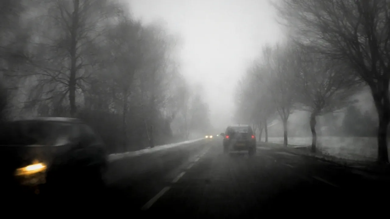 Ninsoarea a perturbat transporturile într-o mare parte a teritoriului Franţei