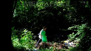 Senatul a aprobat ca a treia sâmbătă din septembrie să fie Ziua de Curăţenie Naţională