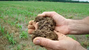Valorificarea puterii naturii cu soluţii biologice pentru o agricultură durabilă