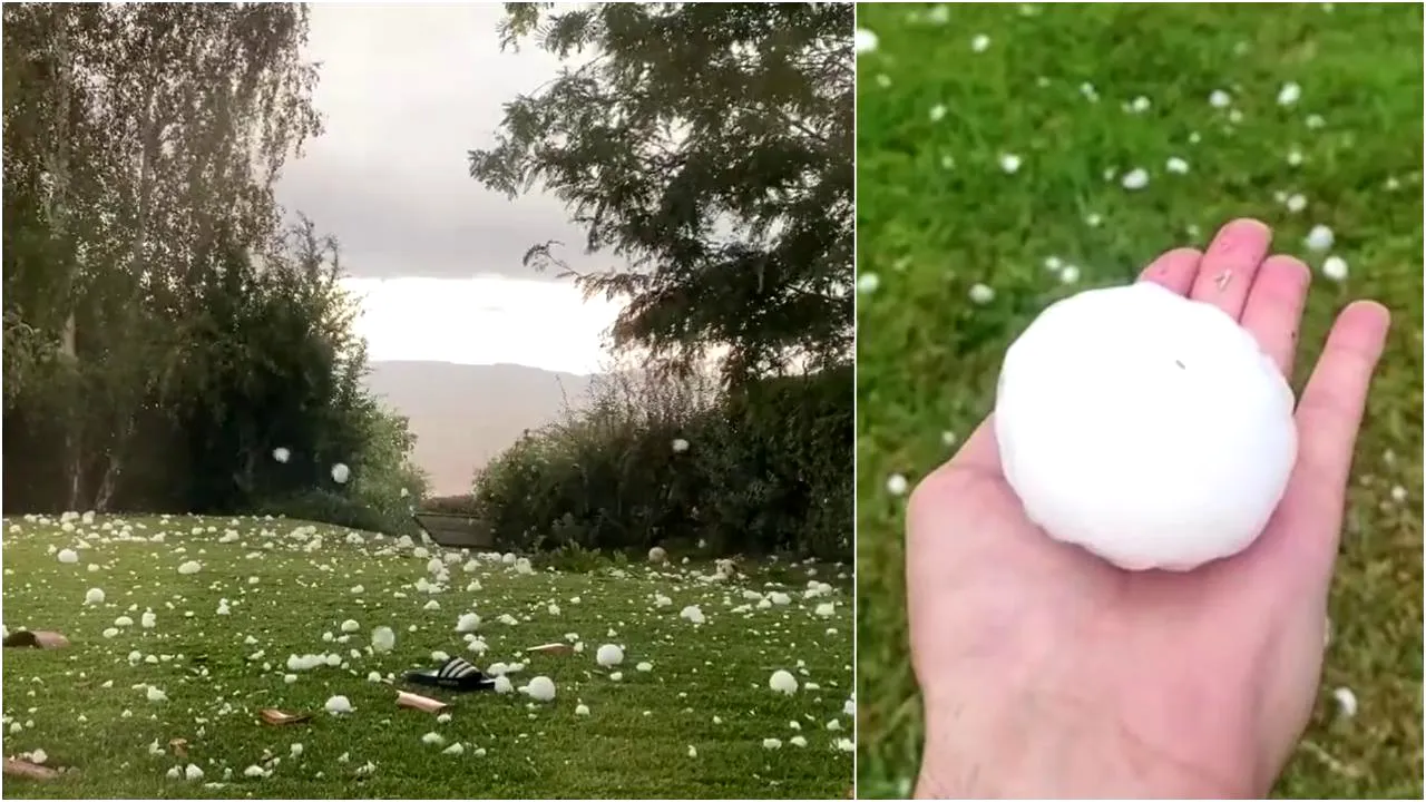 Grindina din Spania are 10 centimetri: o fetiţă de 20 de luni a murit