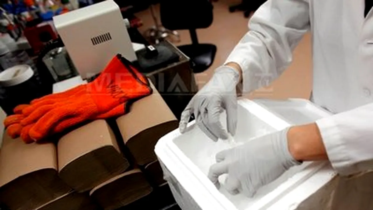 Concorde To Build EUR50M Stem Cell Facility In Romania
