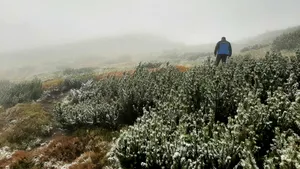 A venit iarna în septembrie. În Munţii Rodnei a căzut prima ninsoare