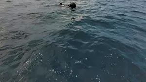 Contre între MApN și Ambasada Rusiei pe tema minelor în derivă din Marea Neagră