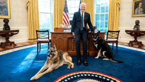 Câinii lui Joe Biden au fost 