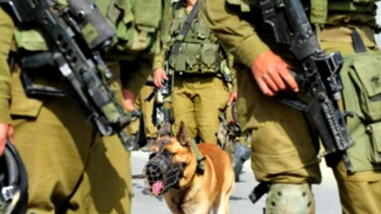 Povestea câinilor de atac pe care armata israeliană i-a trimis în Gaza