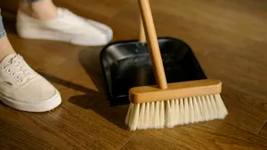 Cocktail toxic. Aproape 200 de pesticide descoperite în praful din locuințele europene
